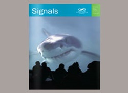 Signals Magazine Issue 93