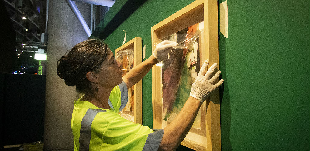 Curator installing artworks